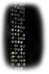 imgcarr_01